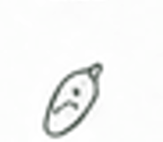 Delikatesser